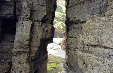 Bossiney Cove Cottage - Foto 40