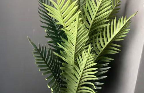 Cosy 2 Bed House - Sleeps 3 Parking & Garden - Foto 11