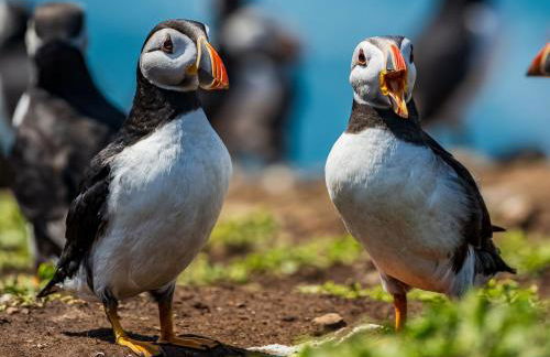 The Coach House - Photo 34