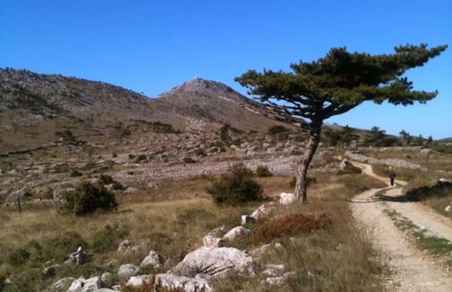 House Pod Humom - Foto 52