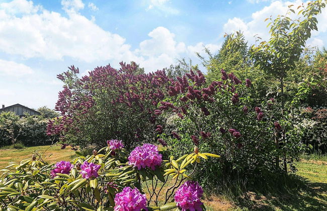 5 Person Holiday Home in Bogo By-by Traum - Foto 31