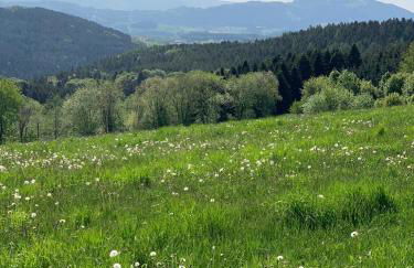 Landhaus Lehhof - Foto 52