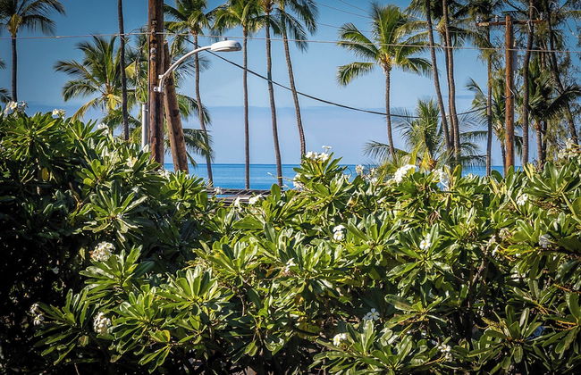 Maui Vista 1210 by Maui Rental Group - Photo 10