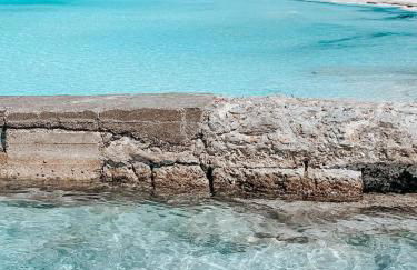 Catalina Beach House by Cassai - Foto 18