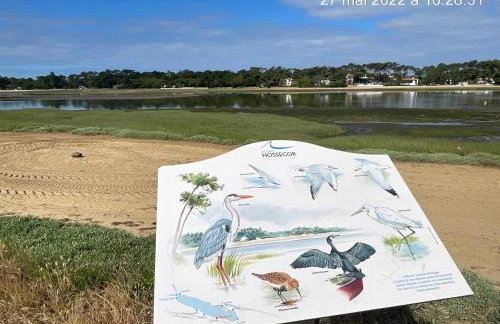 Appartement HOSSEGOR plage SUD Classé 3 étoiles - Foto 56