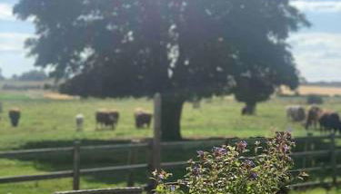 Bainvalley Cottages, Beautiful North Cottage - Foto 5