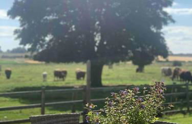 Bainvalley Cottages, Beautiful North Cottage - Foto 5