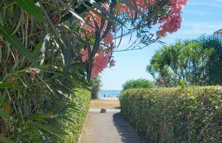 Giardino delle rose - Foto 58