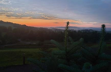 DOMKI KOLOROWE - Foto 68