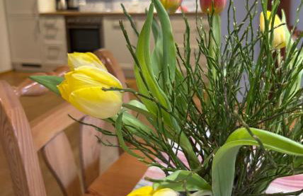 Ferienhof Hanssler - Photo 57