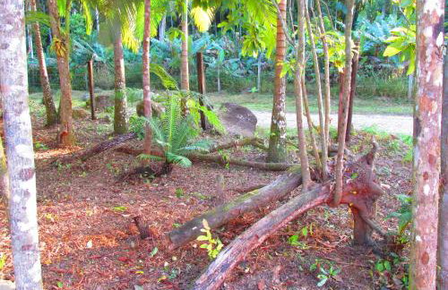 Refúgio dos Valdenses - Photo 43