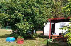 Domek nad Wartą - Foto 14