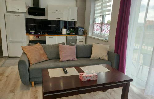 Apartament Jagielloński - Foto 2