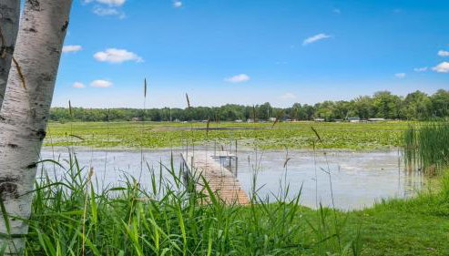 Cree Bay Cabin - Foto 2