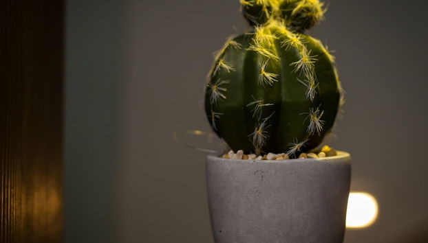 Revelton H - The Bridge Apartments - Foto 2, Recepción