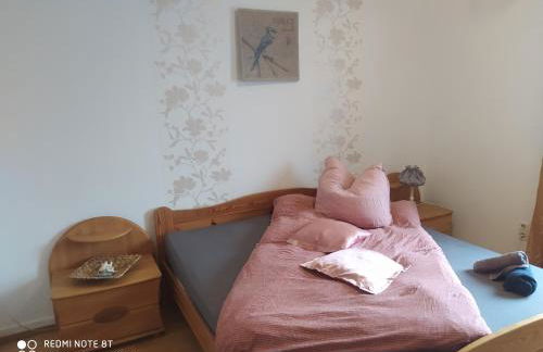 Alte Backstube mit 3 Ferienwohnungen eingerichtet für Monteure und Firmen - Photo 11