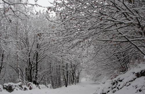 Villino Camparbino vista lago d orta - Foto 34