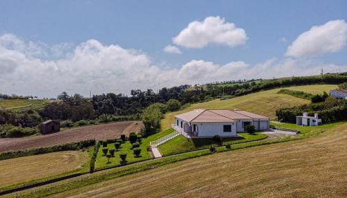 Hydrangea House - Photo 3, Garden, Garden view