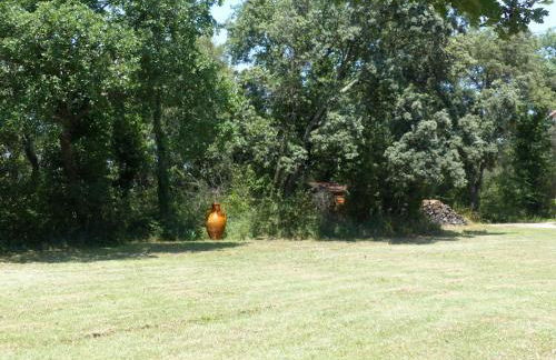 BASTIDE Neissoun - Foto 13