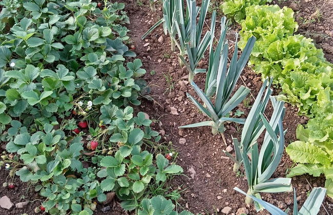 Holiday Home Near Lake and Leisure in Clos du Bannet - Photo 13