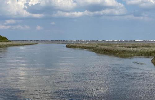 Les volets verts - Foto 25