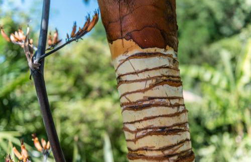 Residence Fischerhof - Foto 35