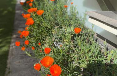 Pompei Home Apartament - Photo 39