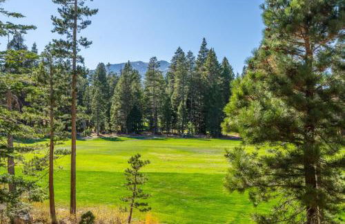 Obsidian 300 - Foto 24