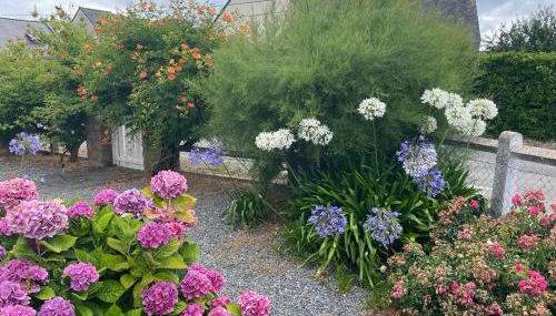 Trouz Ar Mor Damgan - Foto 4, Garden