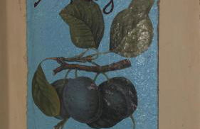 Il Pianaccio - Foto 44