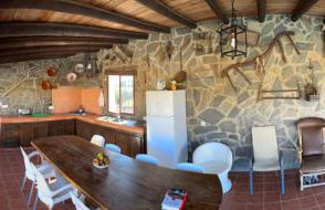 La chumbera - Foto 24