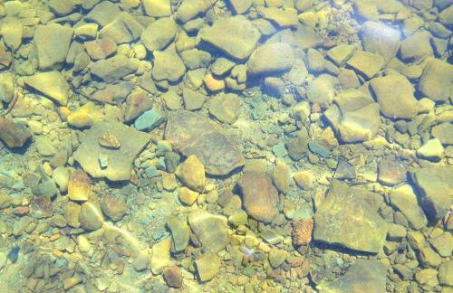 Peaceful Private Cabin on Crystal Lake near Elk Mountain, Pennsylvania - Foto 23