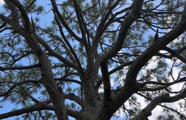 Addy's Villas - Foto 67