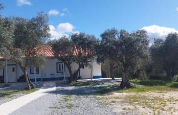 Monte da Masmorra de baixo-Casa Alentejana - Foto 6