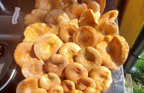 Pauza Drzewoszewo - Dom nad jeziorem - Foto 44