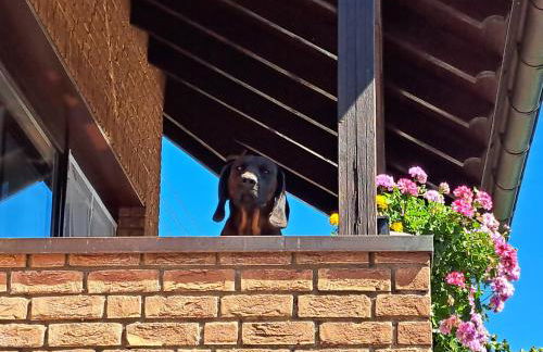 Wohnung zum Wohlfühlen - Foto 12