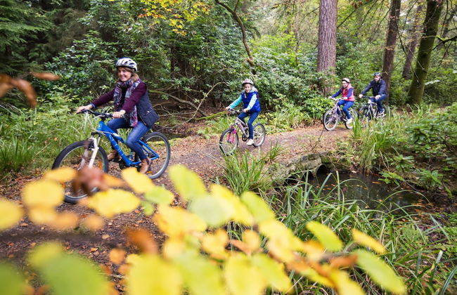 Blessingbourne Country Estate - Foto 62