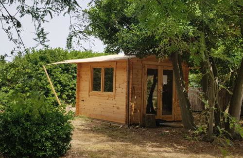 Domaine de Parazols - Foto 34