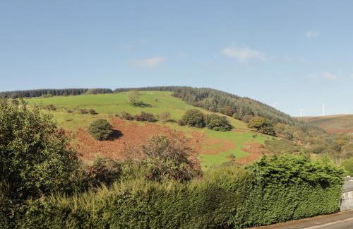 Golygfa Bryn - Foto 35