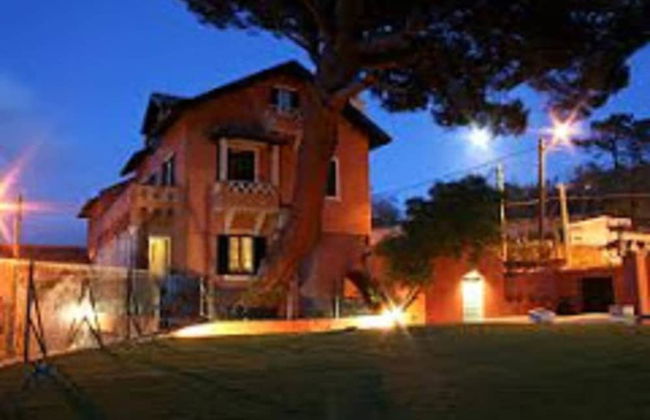 Shepinetree - Pinheira House - Foto 1