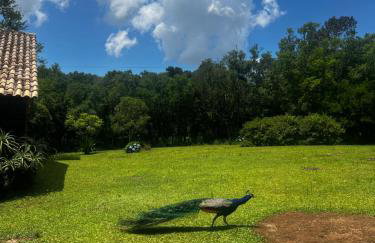 Cabana do Lago- Morro da Borússia - Foto 5