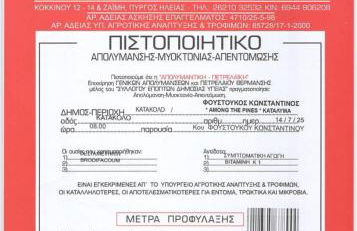 Among the pines - Foto 35