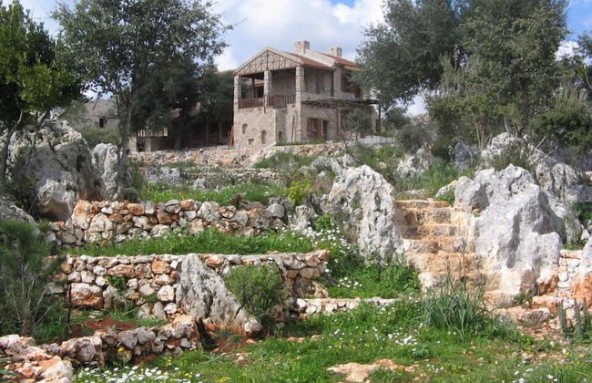 Hoyran Wedre - Foto 34