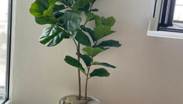 Tsachaki Apartment Pigi Rethymno - Foto 4