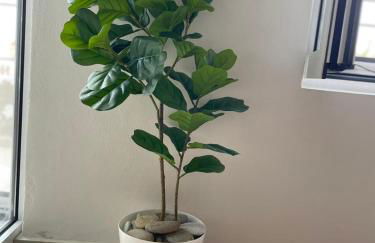 Tsachaki Apartment Pigi Rethymno - Foto 4