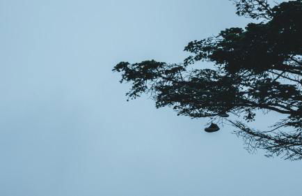 Ak-55 Rural House - Foto 48