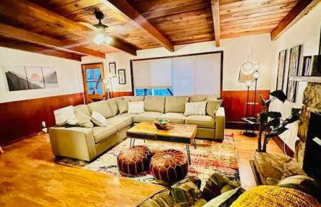 Orange Door Electric Fireplace bbq - Photo 3