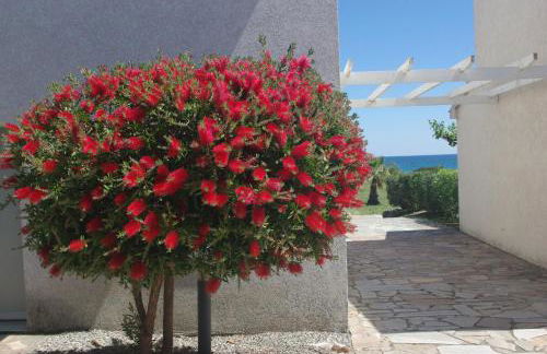 Résidence A NUCIOLA Les pieds dans l'eau Cervione Hte CORSE - Foto 17