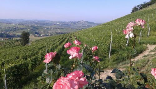 Casa Vacanze Sweet Dreams - Foto 4