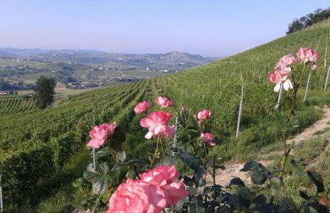 Casa Vacanze Sweet Dreams - Foto 4